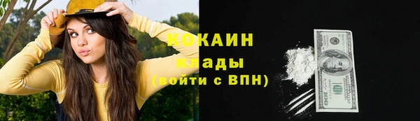соль ск Алзамай