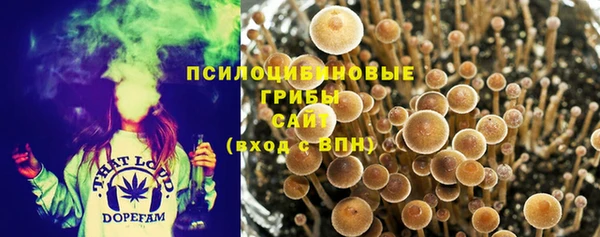 2c-b Алексеевка
